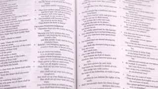 Thinline Bible Overview [upl. by Oitaroh897]