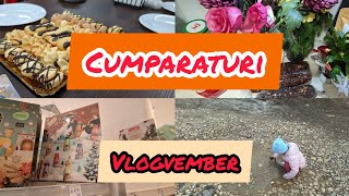 Vlog Cumpărături DM Auchan Farmacia Tei vlogvember dm noiembrie 2023 [upl. by Lada349]