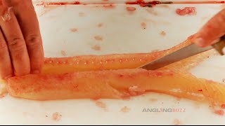 Pike Y Bone Removal Made Easy [upl. by Ahsap]