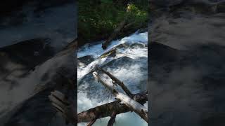 Hiking to Copper Lake Along the West Fork Foss [upl. by Airom]