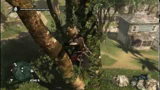 Assassins Creed 4  How to get Animus fragment in the tree  Kingston [upl. by Htennek302]