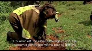 Film Hommage à Wangari Maathai [upl. by Cocke]