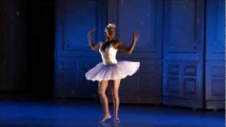 Live Performance of Dada Masilos Swan Lake [upl. by Durware]