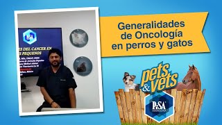 Generalidades De Oncología En Perros y Gatos Con Héctor Del Riego [upl. by Notned]