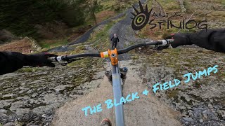 Antur Stiniog  The Black amp Field Jumps [upl. by Oconnor22]