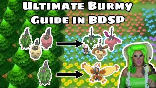 The Ultimate Burmy Guide in BDSP [upl. by Ardekal]