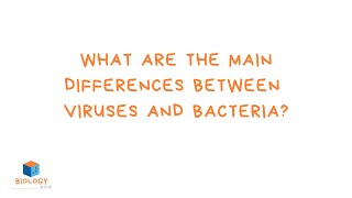 GCSE Biology  Infection amp Response 4  What are the main differences between viruses and bacteria [upl. by Emili336]