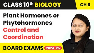 Plant Hormones or Phytohormones  Control amp Coordination  Class 10 Biology Chapter 6  CBSE 202425 [upl. by Auqenahc980]