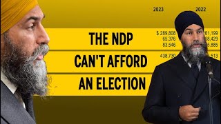 The NDP cant afford an election [upl. by Weight147]