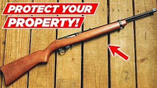 The Worlds BEST Home Defense RIFFLE You NEED Right Now RUGER 1022 [upl. by Nolan]