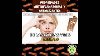 shorts Propiedades Antiinflamatorias Y Antioxidantes canela especies [upl. by Ethelred412]