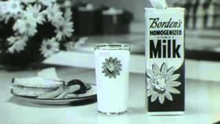 Vintage Old 1960s Bordens Milk Commercial [upl. by Gensmer824]