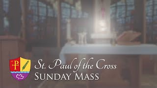 Sunday Mass  12th Sunday in Ordinary Time  June 23 2024 [upl. by Adnolay931]