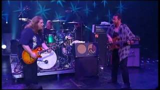 Govt Mule  Beautifully Broken Warren Haynes [upl. by Vandyke736]