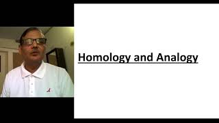 Homology and Analogy Proof for Divergent and Convergent Evolution [upl. by Olympias]