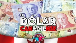 EP11 El dólar canadiense  AVENTURA EN CANADÁ [upl. by Wynn272]