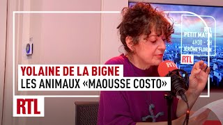 Yolaine de la Bigne  petit mais trop fort intégrale [upl. by Ennazzus235]