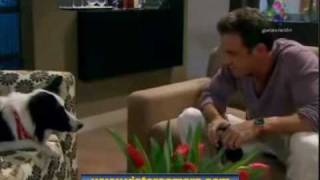 PERRO AMOR 2010  cap 27 parte 24 [upl. by Rehpotsyrk]