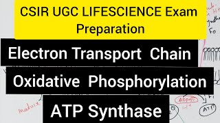 Electron Transport Chain  മലയാളം  Chemiosmosis  ATP Synthase  CSIRDegreePG Topic [upl. by Affay]