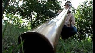 DIDGERIDOO  oboreal play on didgelement  tree to flood [upl. by Lamoree343]