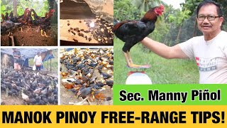 Free range Chicken tips Manok Pinoy by Sec Emmanuel quotMannyquot Piñol [upl. by Emmey]