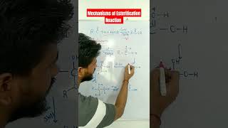 Mechanisms of Esterification ReactionClass11 12 Board exam [upl. by Naid]