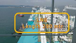 Marine Pilot Berthing Coastal and Liquefied Natural Gas LNG Length 2900 mtrs During Neap Tide [upl. by Inalej]