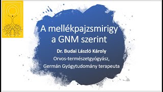 A mellékpajzsmirigy a GNM szerint [upl. by Serle696]