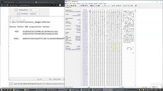 115 WinHex view of MBR and partitions [upl. by Merrili330]