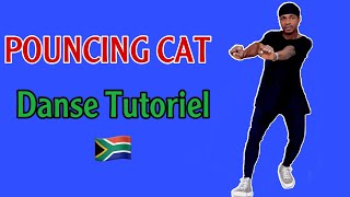 Pouncing cat tutorials in just two steps dancelike dance dancechallenge [upl. by Yroggerg]