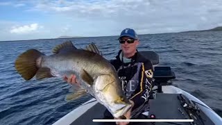 How to LiveScope barramundi  Kinchant BARRA Event LIVE [upl. by Brower708]