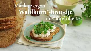 Waldkorn®broodje met forelrillettes [upl. by Drarehs]