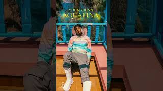 Aquafina by Young Jonn is out now [upl. by Aennaej]