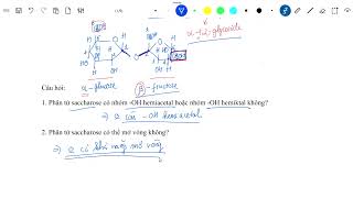 HOÁ 12 Saccharose và maltose [upl. by Namhcan303]