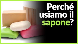 Come FUNZIONA il SAPONE [upl. by Silma]