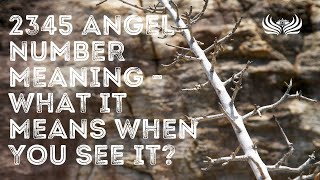 2345 Angel Number Meaning 🌦 What It Means When You See It [upl. by Kitti]