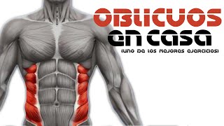 ABDOMINALES OBLICUOS EN CASA UNO DE LOS MEJORES EJERCICIOS [upl. by Derina]