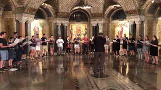 Choir of the Basilica Sicut Cervus [upl. by Johnny456]