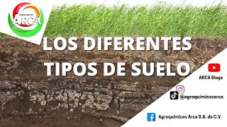 ¿Cuáles son los tipos de suelo [upl. by Thin]