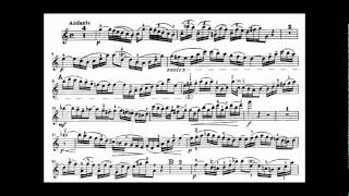 Bach JS violin concerto in A minor BWV 1041 [upl. by Heyman]