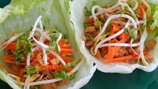 Chicken Lettuce Wraps  The Frugal Chef [upl. by Iggep]