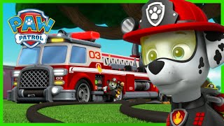 PAW Patrols BEST Lookout Tower Moments w Rocky Marshall amp Chase  1 Hour Compilation  Nick Jr [upl. by Lareine]