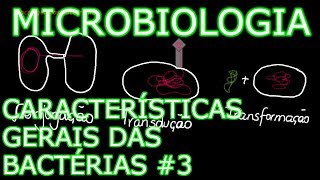 Aula Microbiologia Médica 6  Características Gerais das Bactérias 3 [upl. by Ainavi]