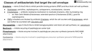 Antibiotics that target the cell envelope [upl. by Anihsit]