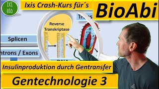 Gentechnik 3  Gentransfer  gentechnische Insulinherstellung materialgestützt  Gentechnologie [upl. by Aikemet]