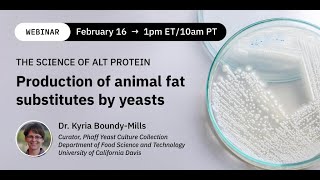 Dr Kyria BoundyMills Production of animal fat substitutes and much more by yeasts [upl. by Cud173]