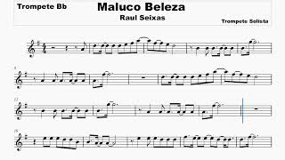 Maluco Beleza Raul Seixas Partitura  Trompete em Sib GRÁTIS partituras trumpet trompete [upl. by Barnie]