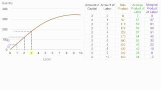 How to calculate Average Product Total Product Marginal Product [upl. by Dahc148]