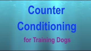 Counter Conditioning a Visual Explanation [upl. by Cairns]