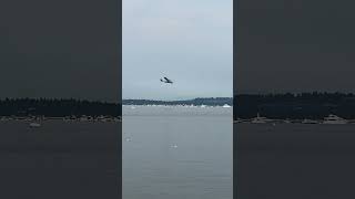 Here are some of the highlights of the Seafair air show Seattle 2024 seafair america airshow [upl. by Liakim]